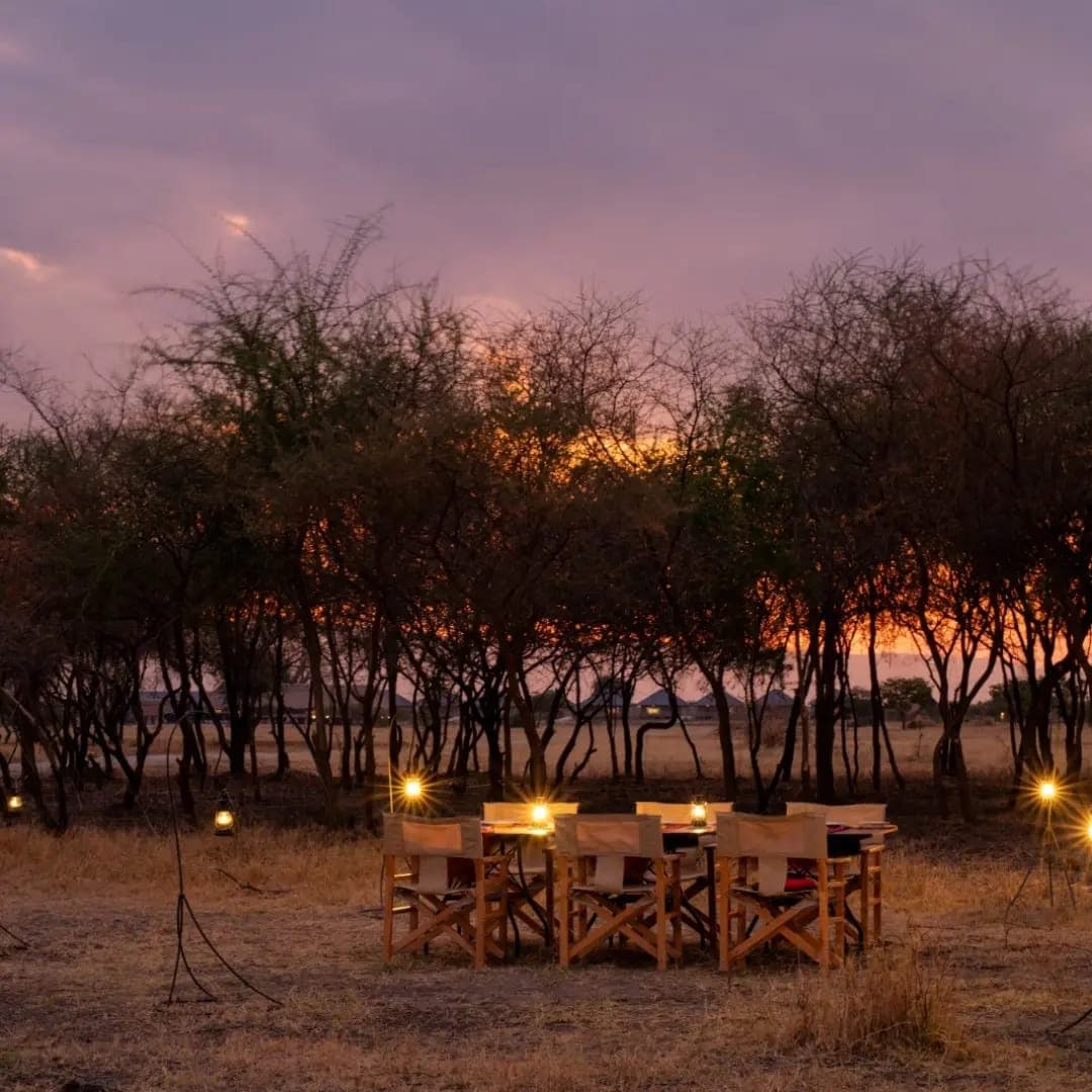 Tanganyika Wilderness Camps
